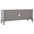Paola 2 Door 1 Shelf Media Stand - 47 W x 16 D x 20 H - 47Wx16Dx20H