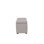 Angela Transitional Living Room Storage Trunk Bench