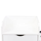 4 -Layer Salon Storage Cabinet