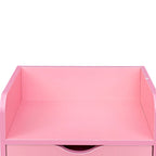 4 -Layer Salon Storage Cabinet